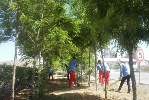 �۸��ʲɹ�����-�Ӵ���