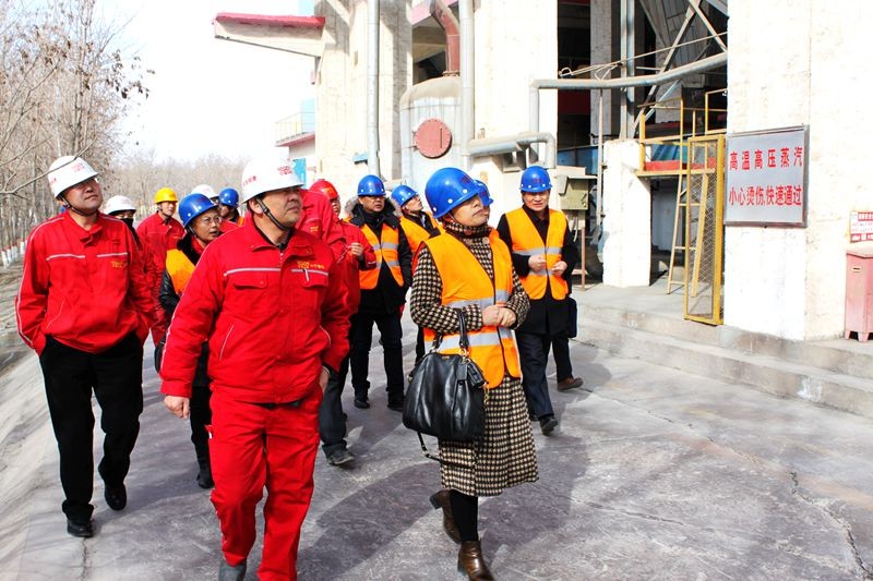 �۸��ʲɹ�����-�Ӵ���