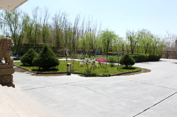 �۸��ʲɹ�����-�Ӵ���