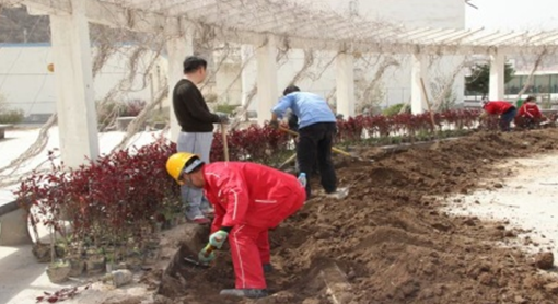 �۸��ʲɹ�����-�Ӵ���