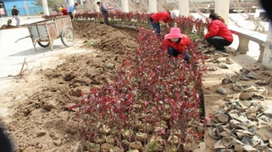 �۸��ʲɹ�����-�Ӵ���