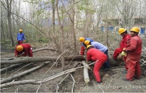 �۸��ʲɹ�����-�Ӵ���