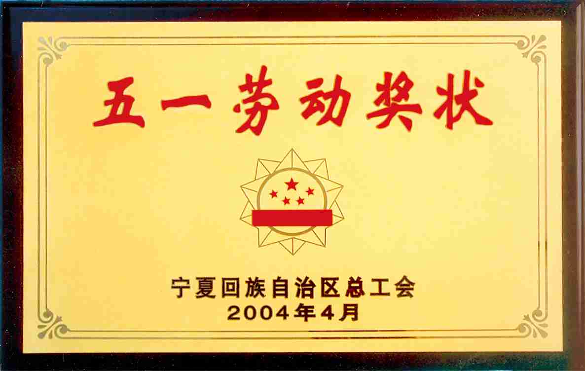 �۸��ʲɹ�����-�Ӵ���